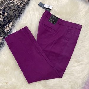 NWT Banana Republic Curvy Fit Sloan Size 2